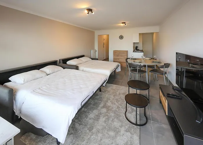 Awesome In With Wifi 公寓 奥斯滕德